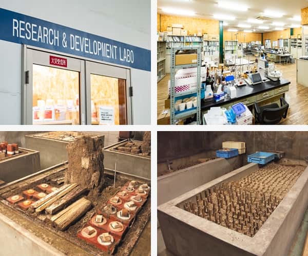 コシイプレザービングの研究施設(研究室、シロアリ飼育室、ファンガスセラー試験室)