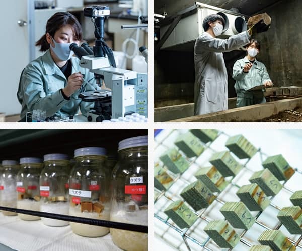 木材保存剤の研究の様子、室内試験での品質調査の様子