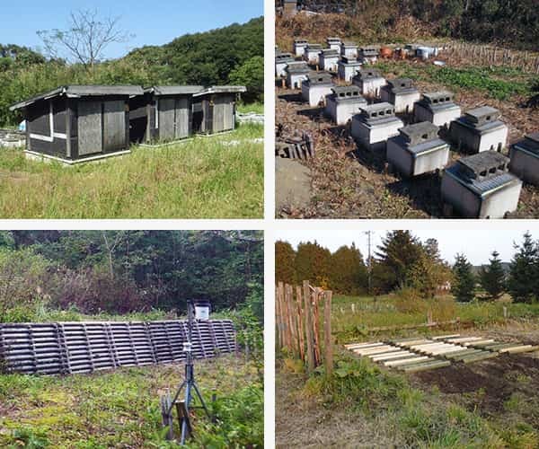 全国にある野外試験の写真