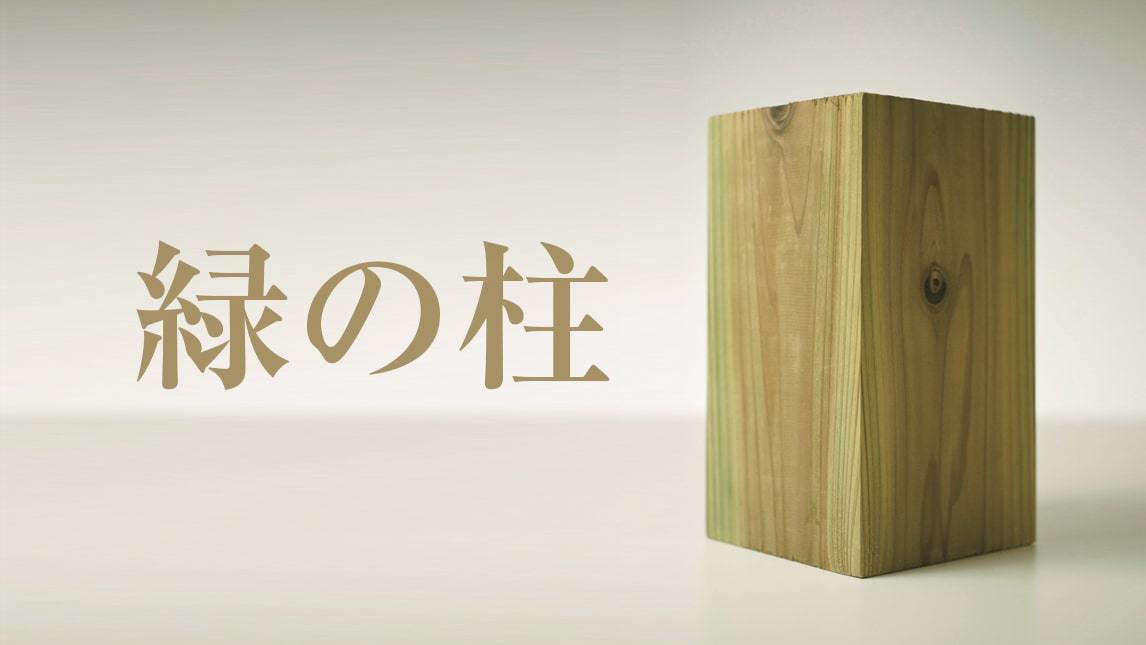 腐らない、シロアリに食べられない建築構造材の写真