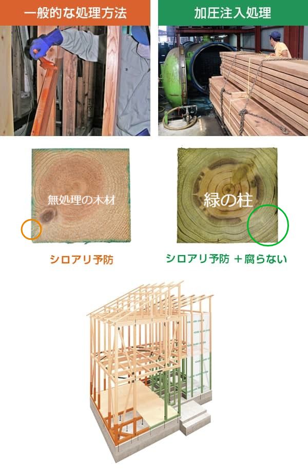 一般的な塗布処理(シロアリ予防)、ハウスガードシステムの加圧注入処理(木材保存剤のシロアリ予防+腐れ予防)が比較できるイラストと施工写真