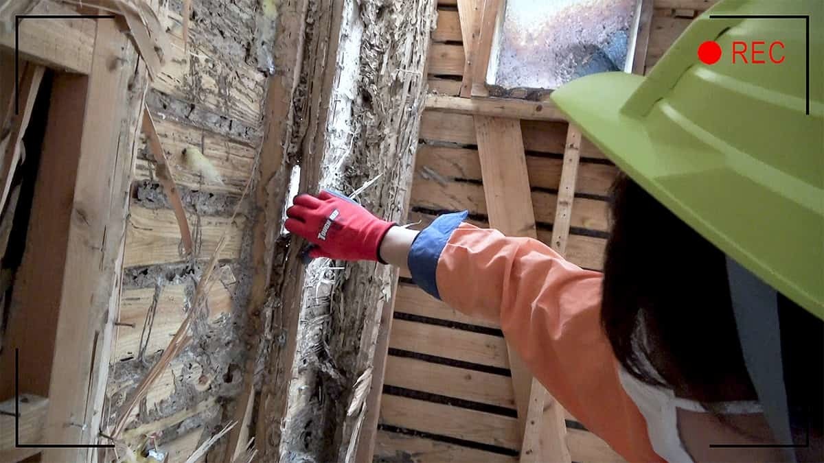 古い家の柱がシロアリに食べられてボロボロになった壁の写真