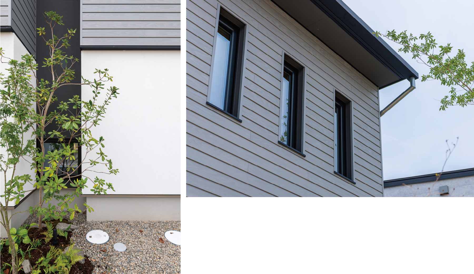 親和建設GREEN MODERN ZEROの外壁写真